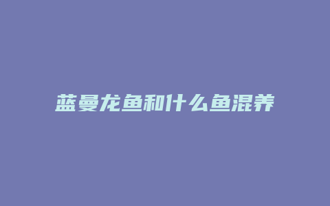 蓝曼龙鱼和什么鱼混养