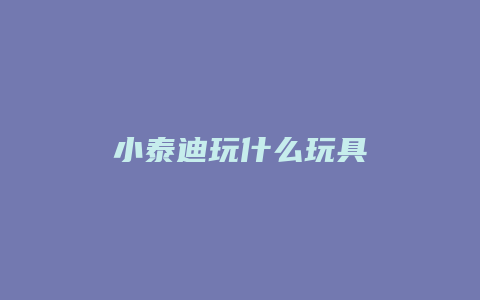 小泰迪玩什么玩具