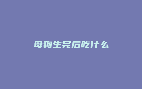 母狗生完后吃什么