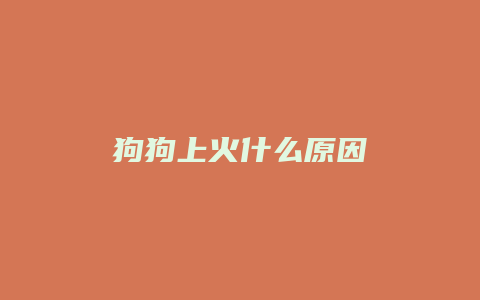 狗狗上火什么原因