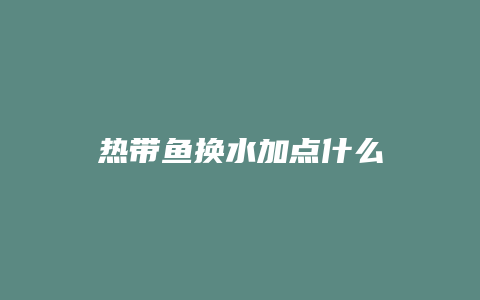 热带鱼换水加点什么