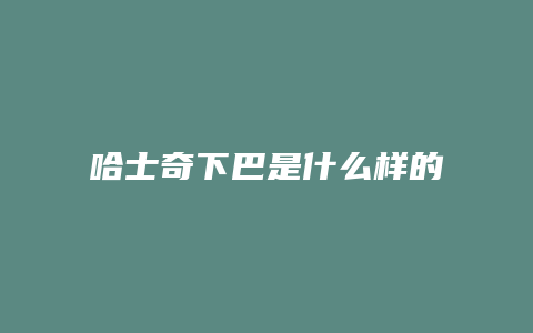 哈士奇下巴是什么样的