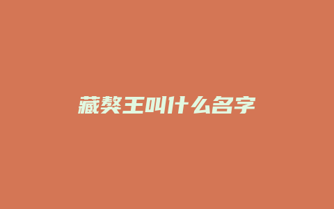 藏獒王叫什么名字