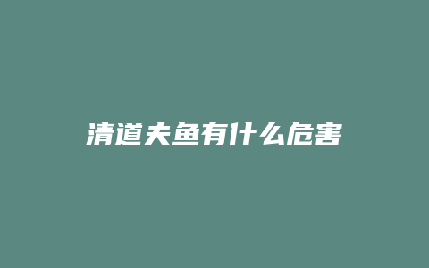 清道夫鱼有什么危害