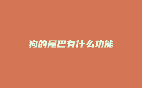 狗的尾巴有什么功能