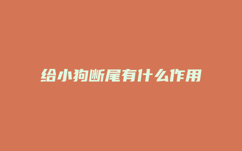 给小狗断尾有什么作用