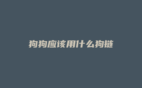 狗狗应该用什么狗链