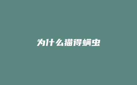 为什么猫得螨虫