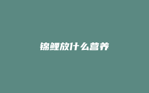 锦鲤放什么营养