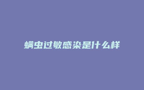 螨虫过敏感染是什么样子的