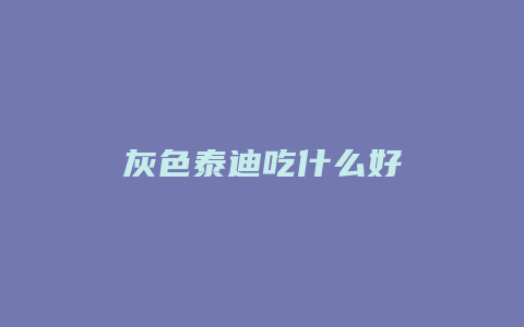 灰色泰迪吃什么好