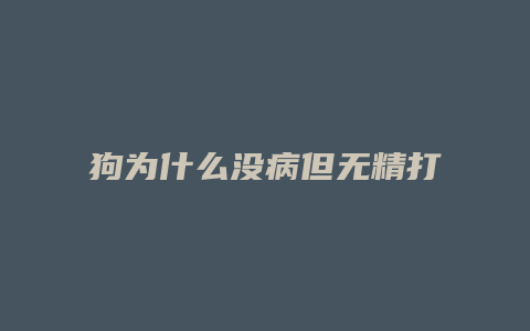 狗为什么没病但无精打采的呢