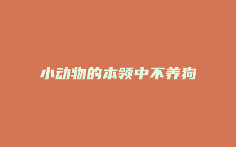 小动物的本领中不养狗有什么本领