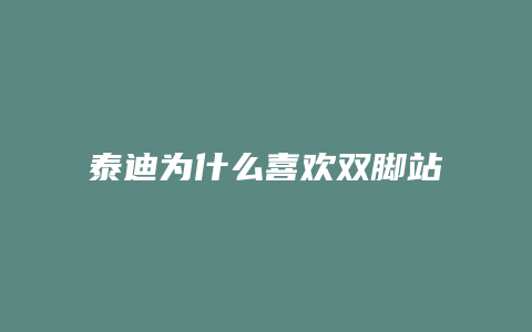 泰迪为什么喜欢双脚站立