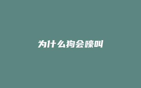 为什么狗会嚎叫