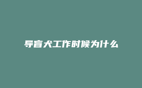 导盲犬工作时候为什么不能摸