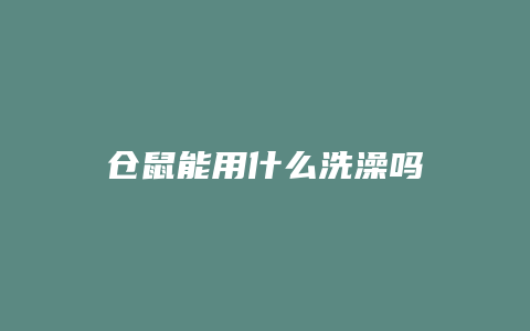 仓鼠能用什么洗澡吗