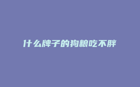 什么牌子的狗粮吃不胖