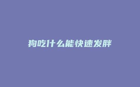 狗吃什么能快速发胖