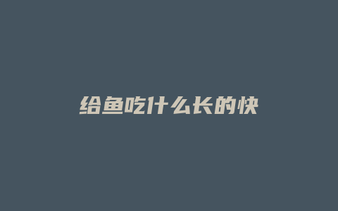 给鱼吃什么长的快