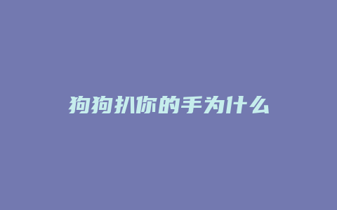 狗狗扒你的手为什么