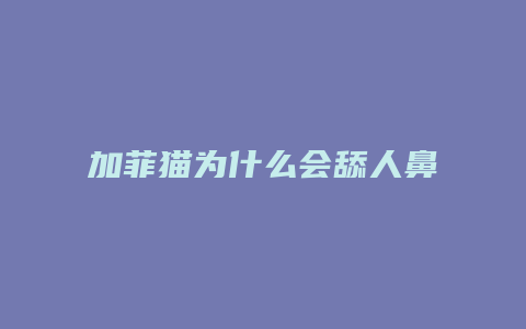 加菲猫为什么会舔人鼻子