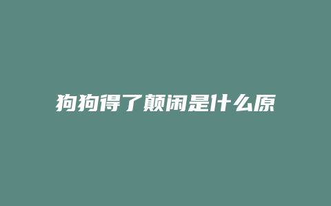 狗狗得了颠闲是什么原因引起的