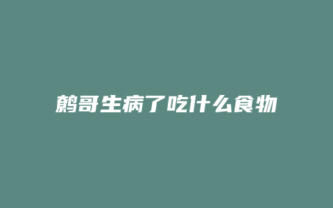 鹩哥生病了吃什么食物