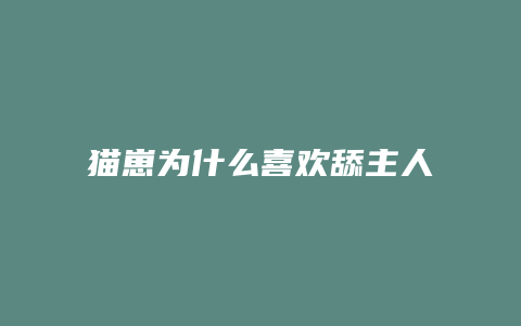 猫崽为什么喜欢舔主人