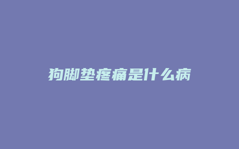 狗脚垫疼痛是什么病