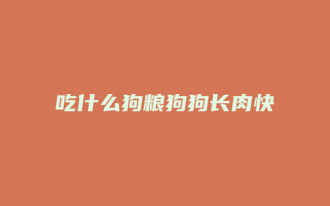 吃什么狗粮狗狗长肉快