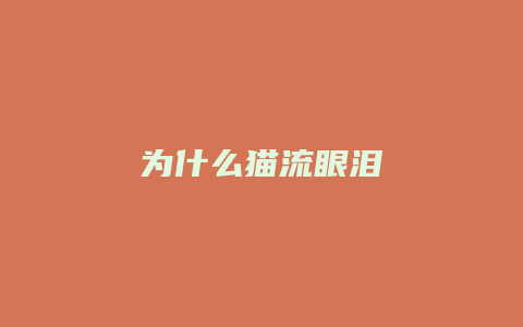 为什么猫流眼泪