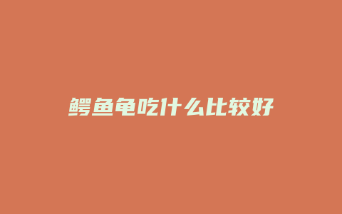 鳄鱼龟吃什么比较好