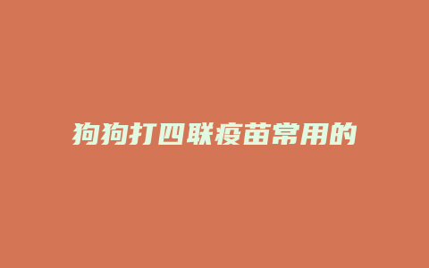 狗狗打四联疫苗常用的什么药品