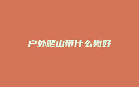 户外爬山带什么狗好