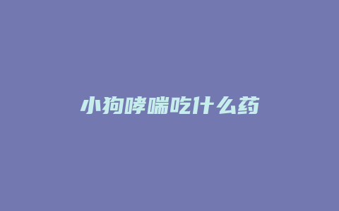 小狗哮喘吃什么药