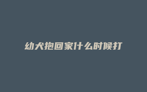 幼犬抱回家什么时候打疫苗