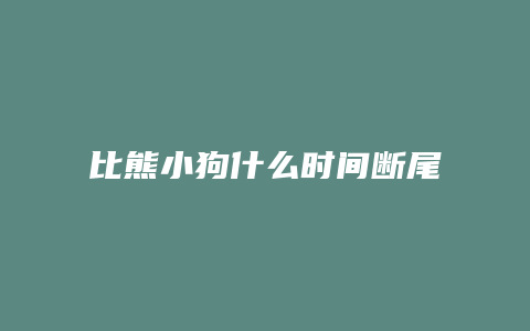 比熊小狗什么时间断尾