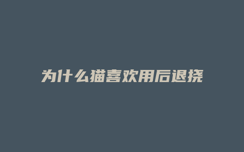 为什么猫喜欢用后退挠下巴