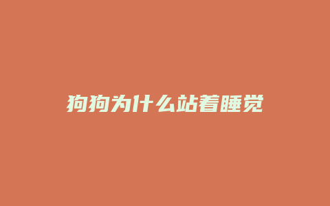 狗狗为什么站着睡觉