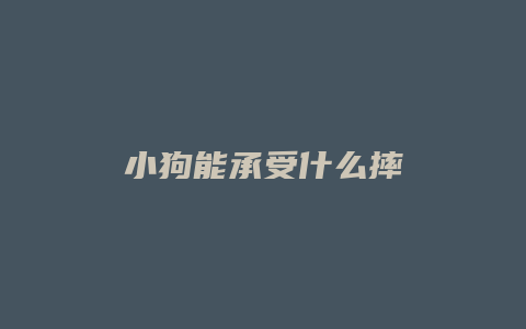 小狗能承受什么摔