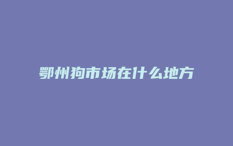 鄂州狗市场在什么地方