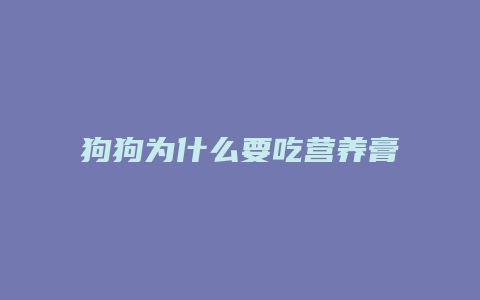 狗狗为什么要吃营养膏