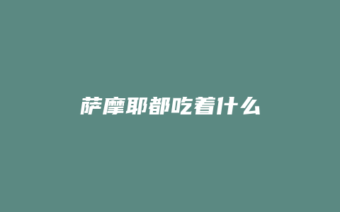 萨摩耶都吃着什么