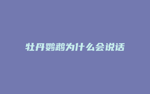 牡丹鹦鹉为什么会说话