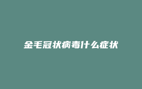 金毛冠状病毒什么症状