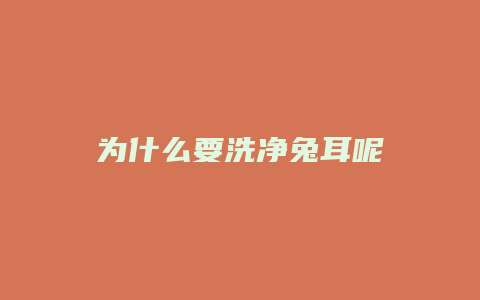 为什么要洗净兔耳呢