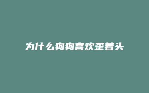 为什么狗狗喜欢歪着头看人