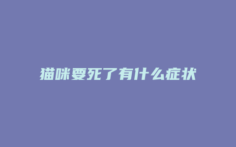 猫咪要死了有什么症状