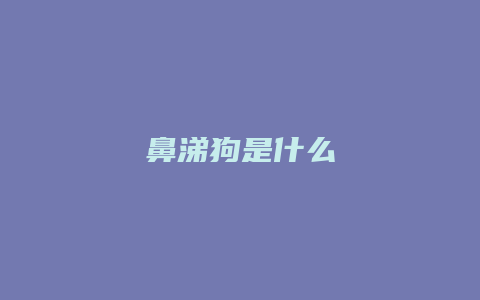 鼻涕狗是什么